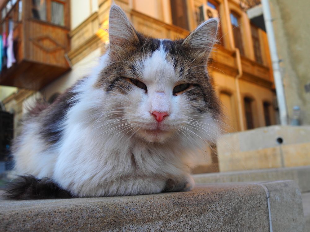 Photograph by ANDREY PERESHEIN