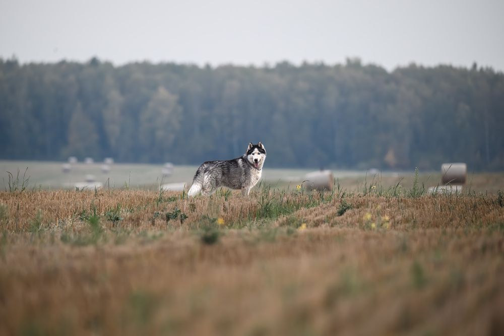 Photograph by Ирешева Мария