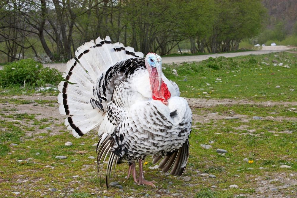 Photograph by Сергей Христинич