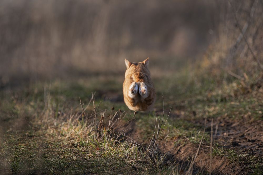 Photograph by Анна Салтыкова