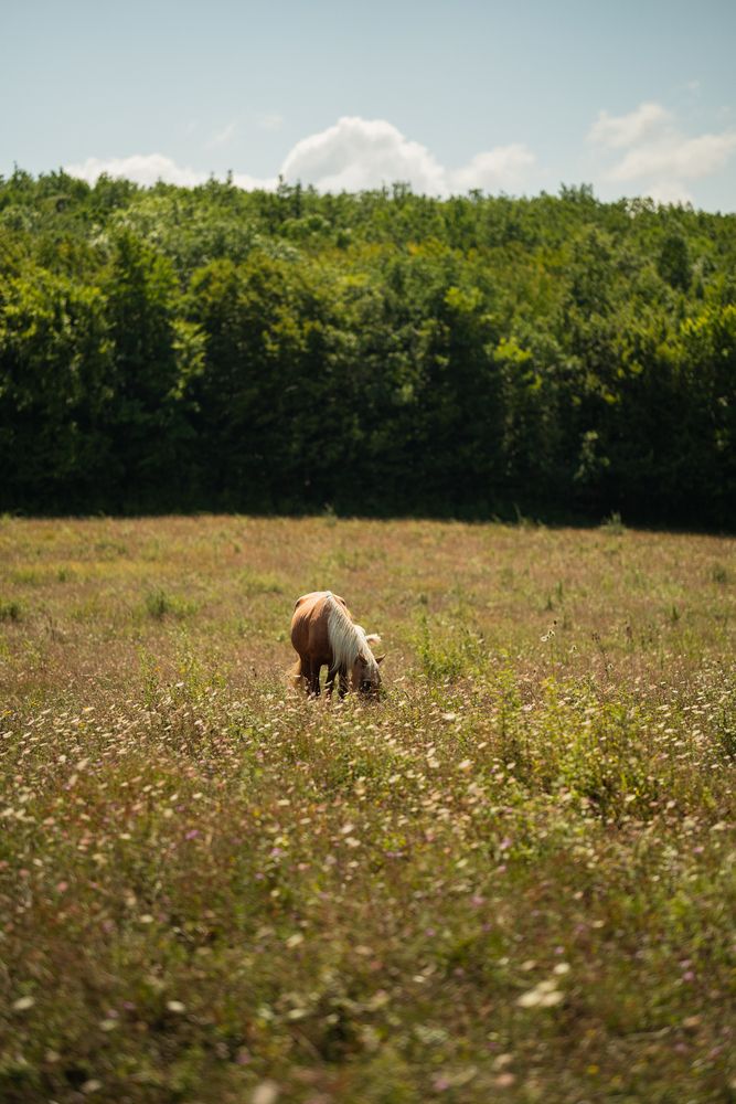 Photograph by Артём Гуцалюк