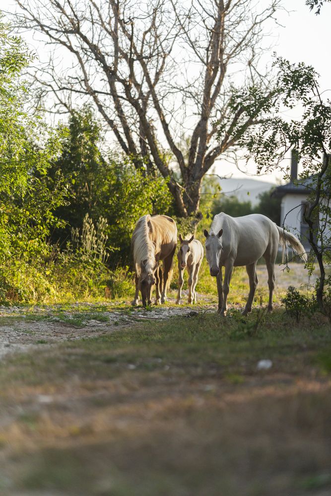 Photograph by Артём Гуцалюк