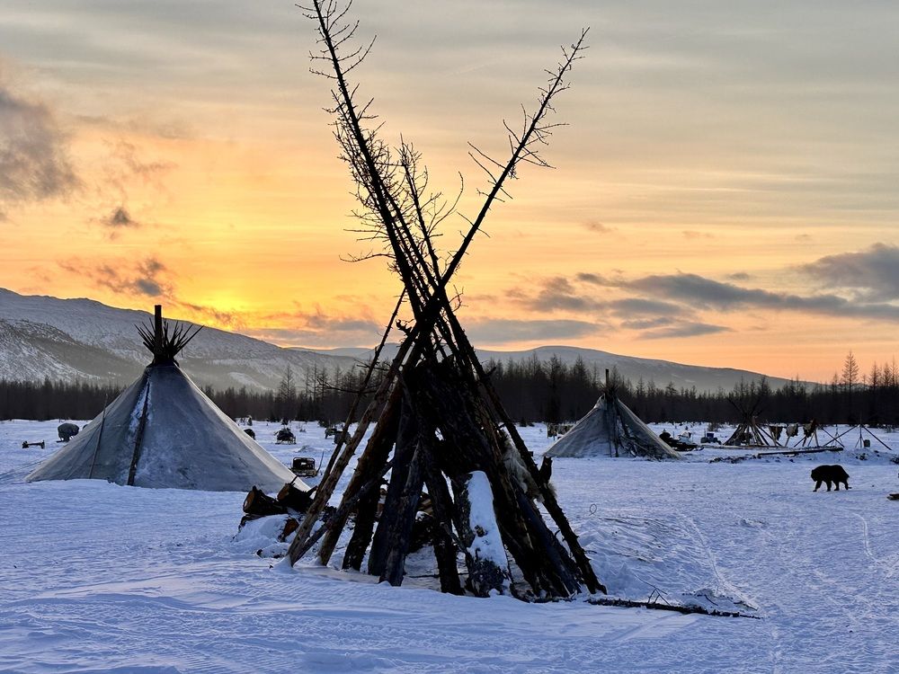 Стойбище оленеводов