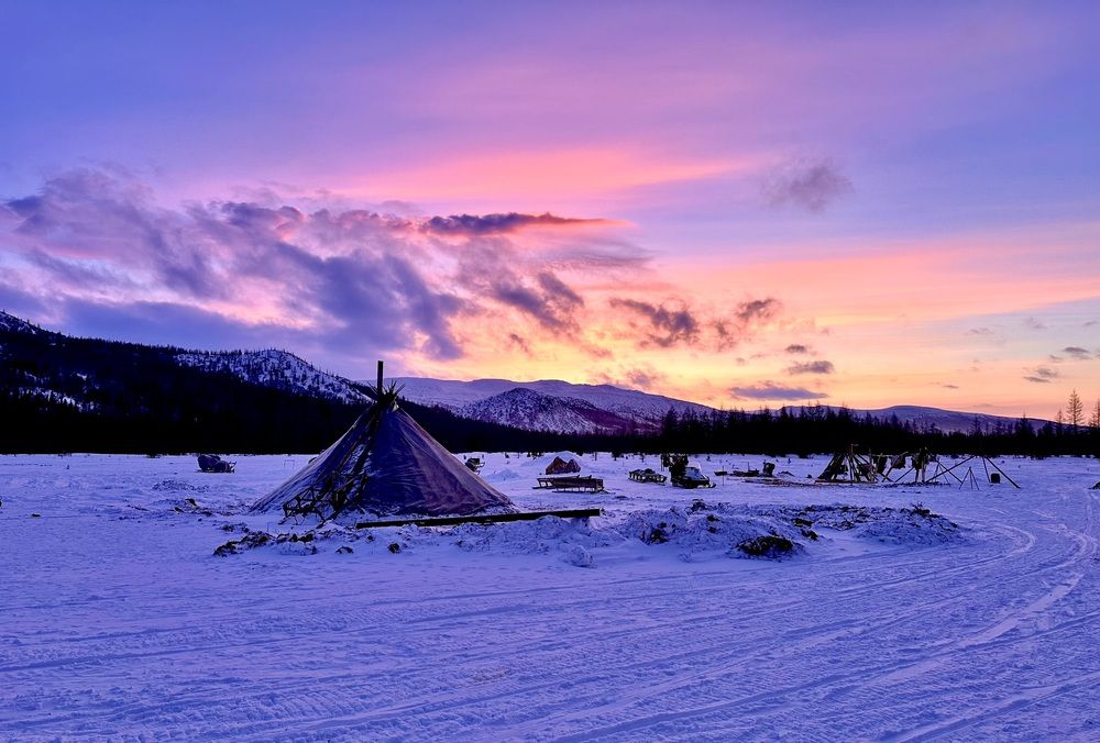Стойбище оленеводов