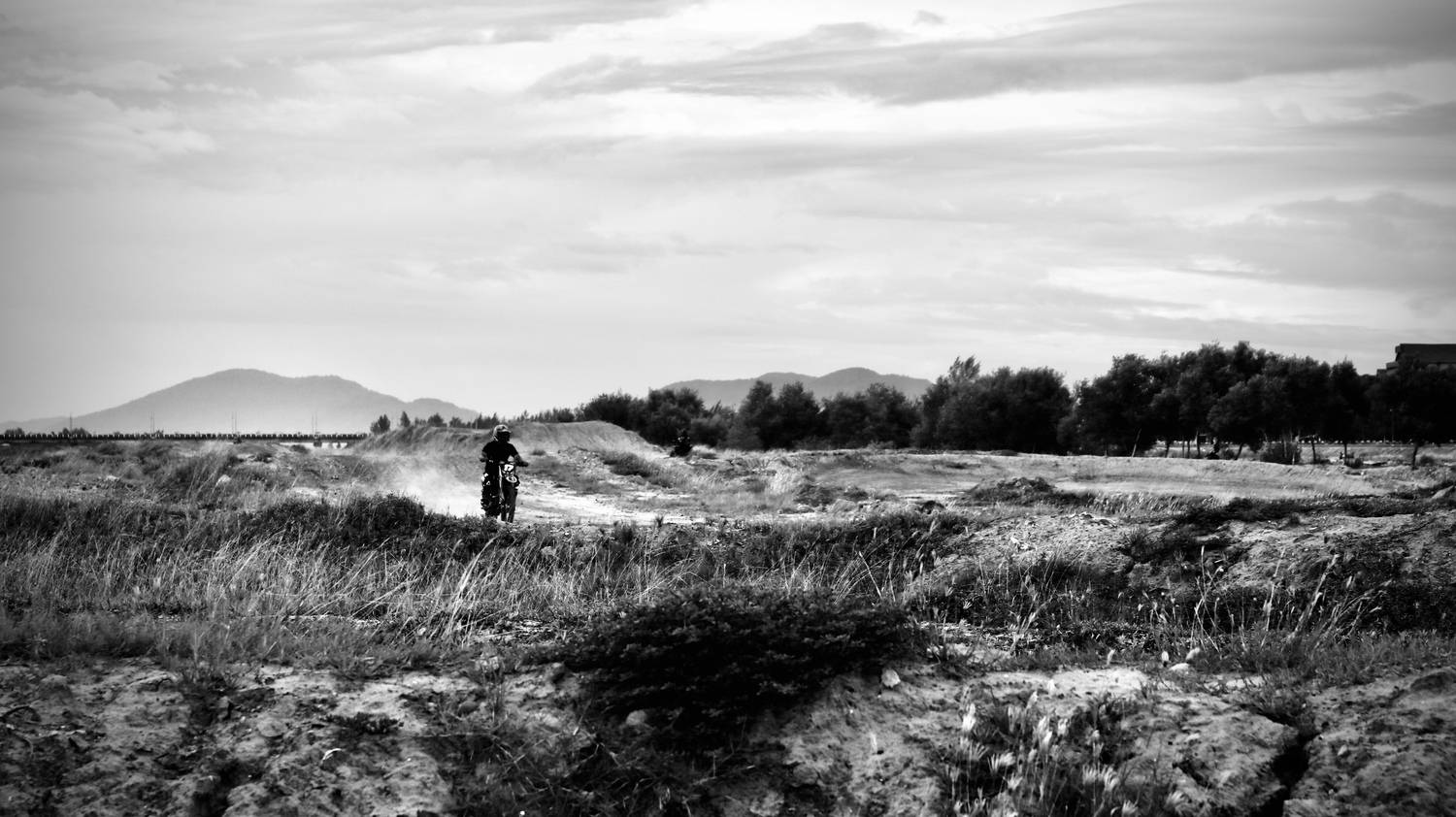 Motor sport in the wild