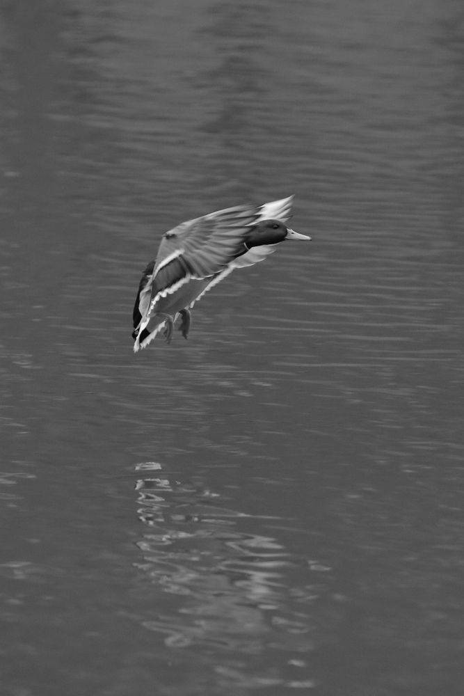 Фотография автора Александр Катацумури