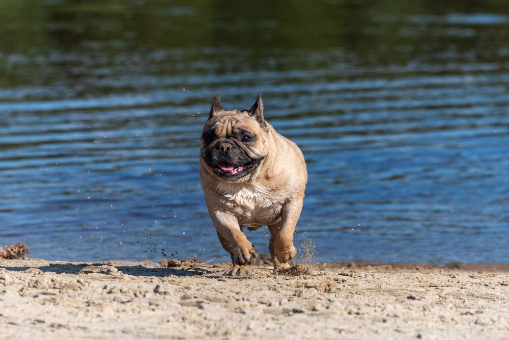 Photograph by Марина Кадырова