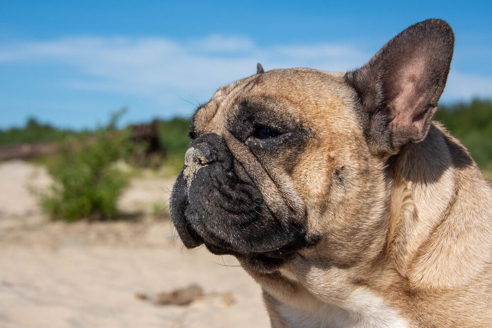 Photograph by Марина Кадырова