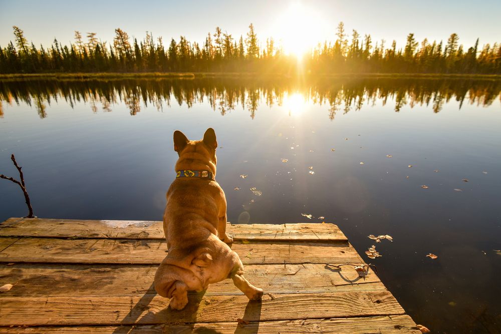 Photograph by Марина Кадырова