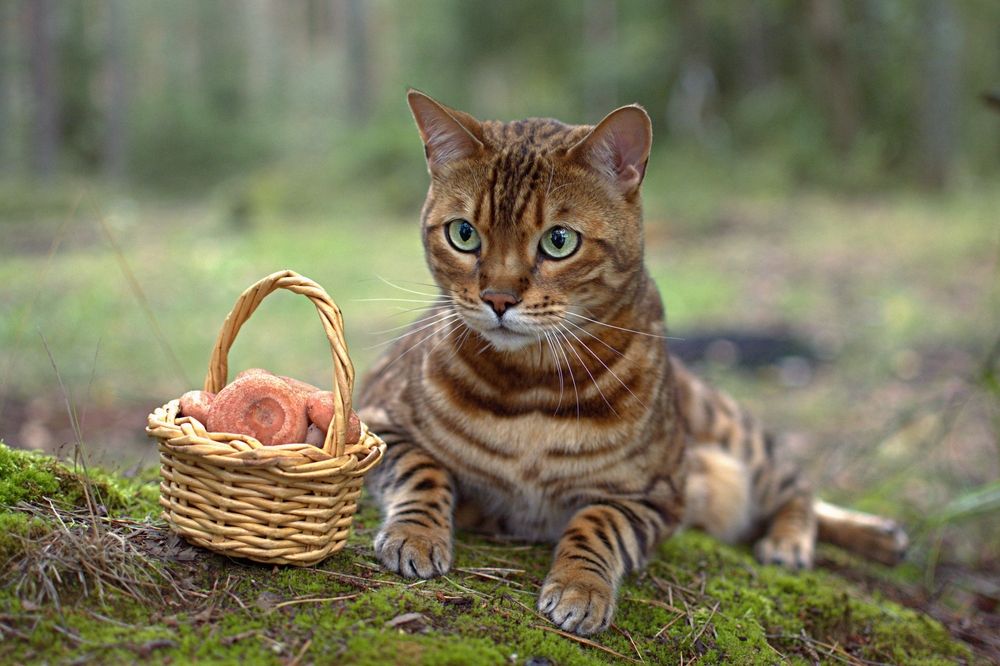 Photograph by Александр Павлов