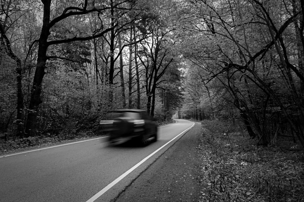 Photograph by Михаил Косолапов