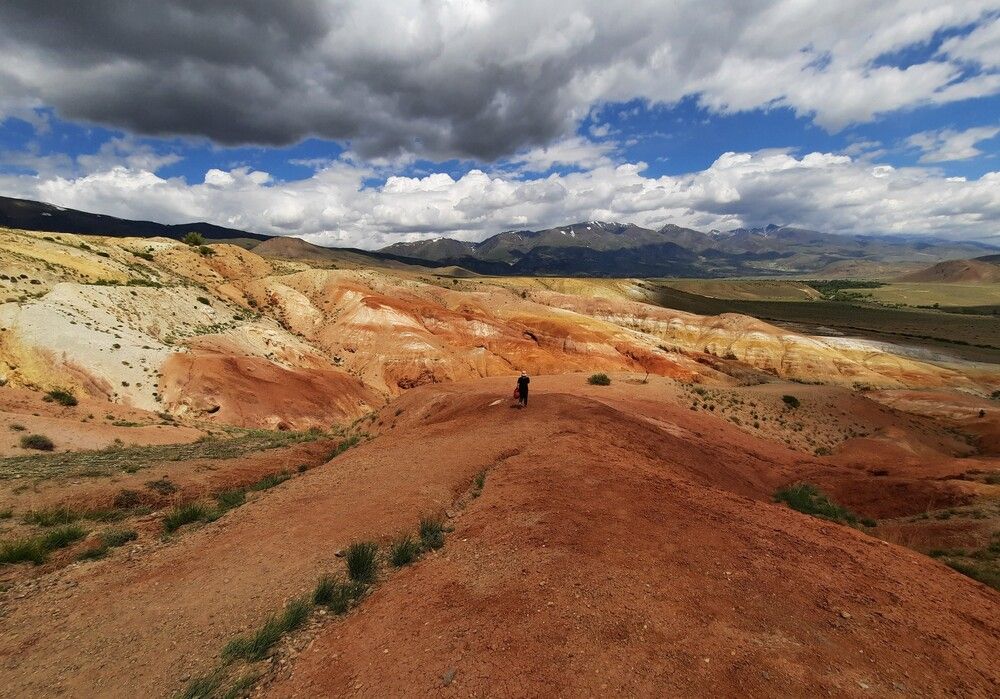 Фотография автора Елена Пикатова