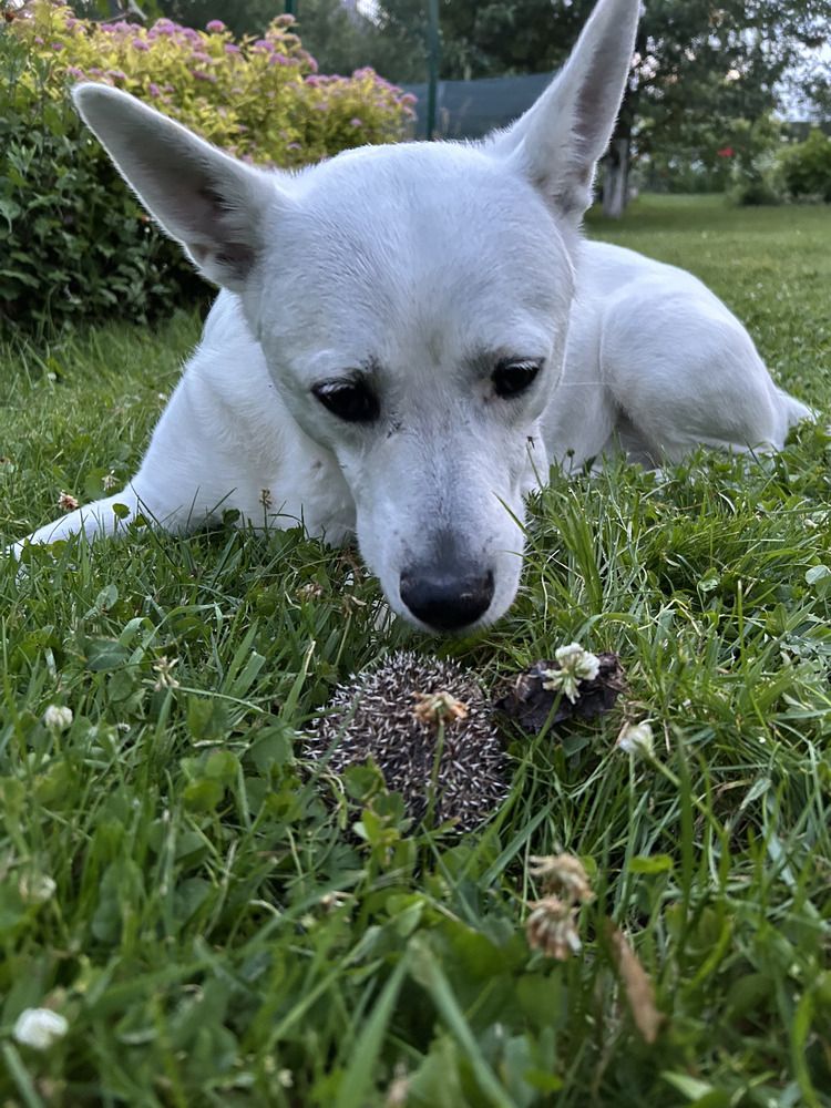 Photograph by Ольга Евтухова