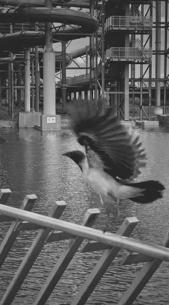 Photograph by Надежда Смирнова