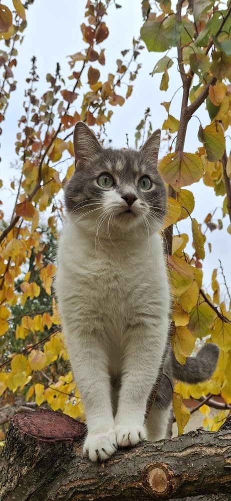 Photograph by Ekaterina
