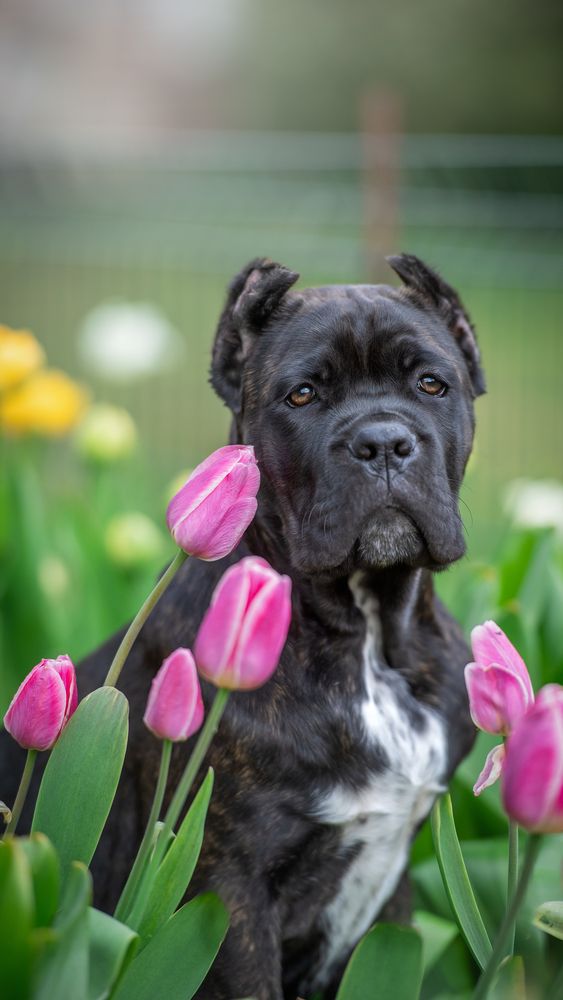 Photograph by Николай Вихтинский