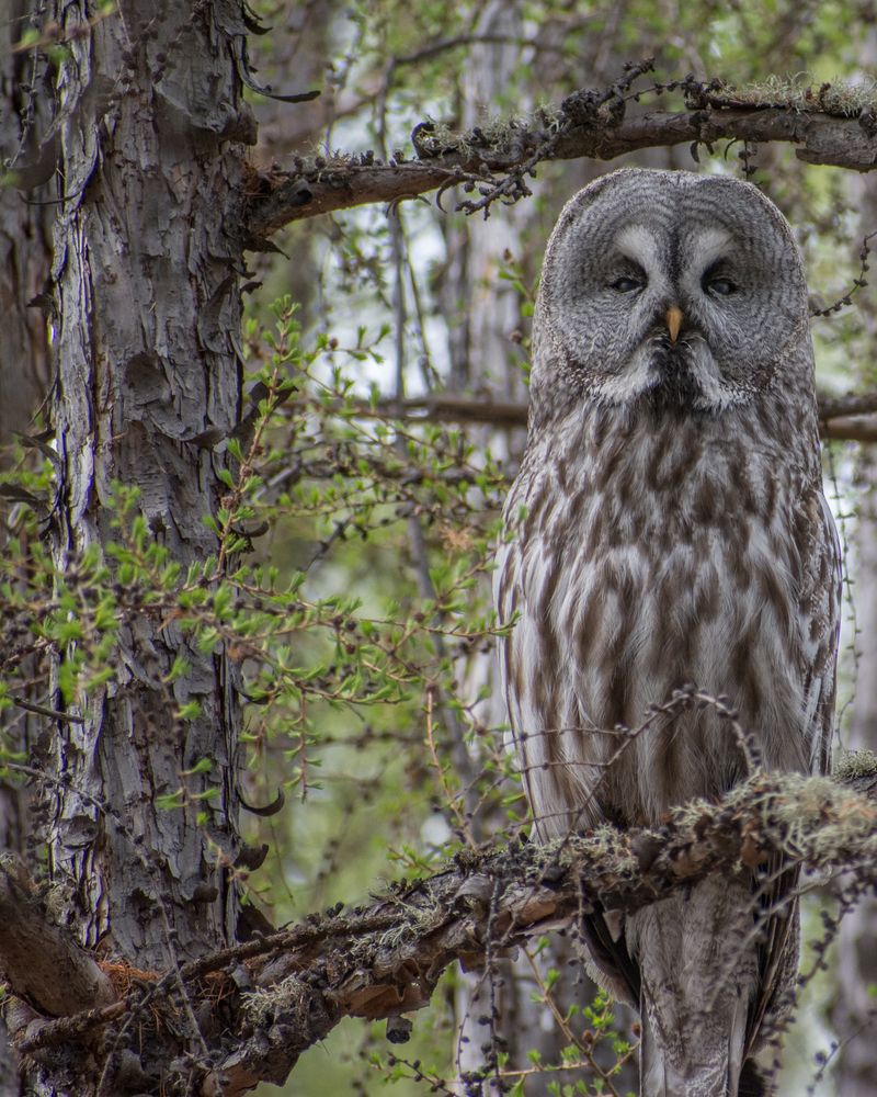 Photograph by Дмитрий Бочкарёв