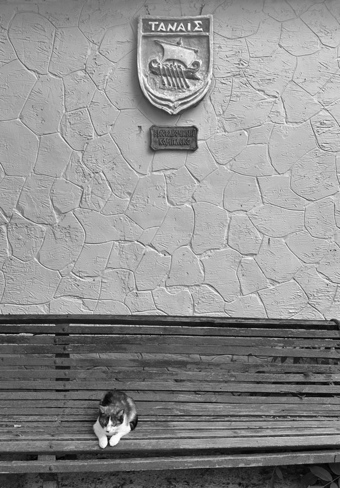 Photograph by Алексей Поляков