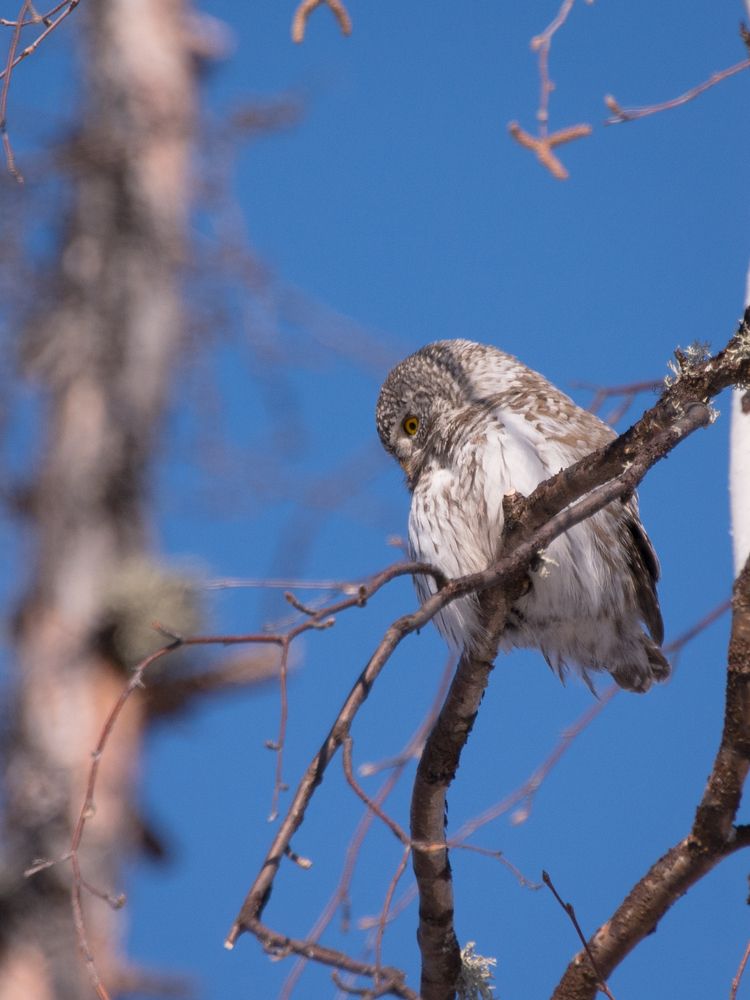 Photograph by Дмитрий Бочкарёв