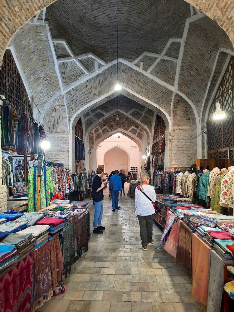 Фотография автора Елена Пикатова