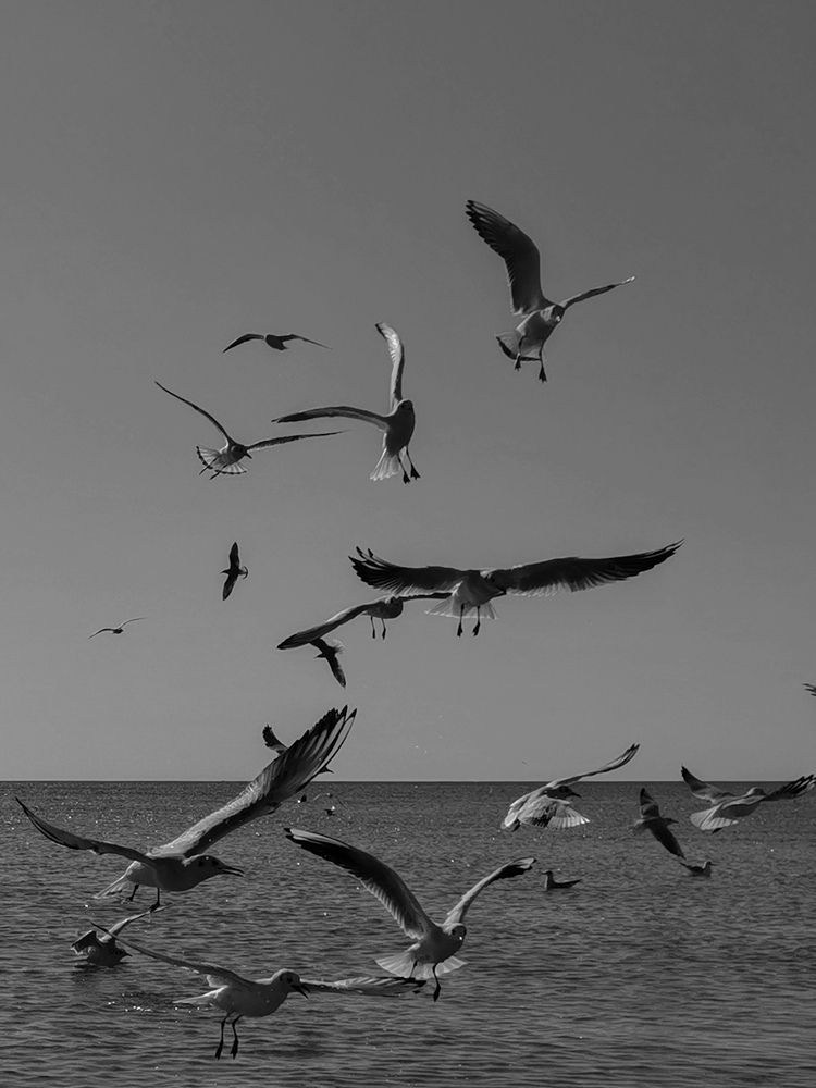 Photograph by Oxana Kostsova