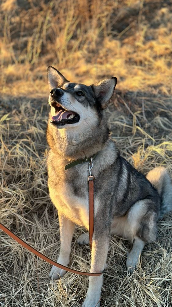 Photograph by Ирина Маркина