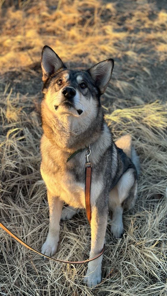 Photograph by Ирина Маркина