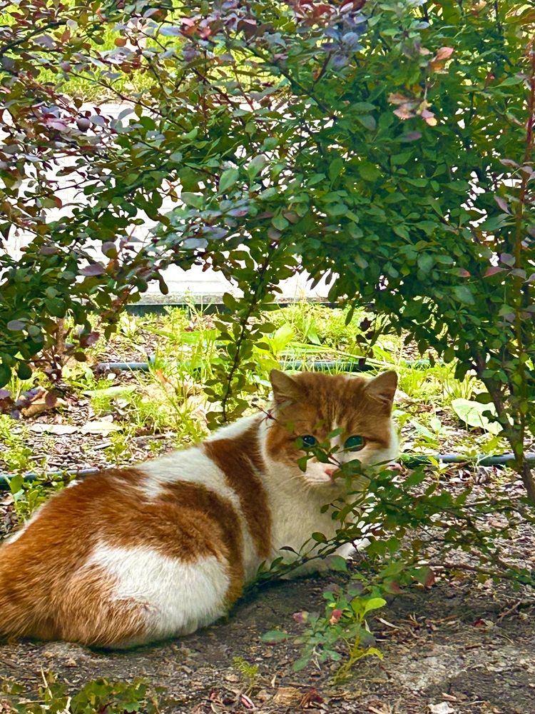 Photograph by Елизавета Полянская