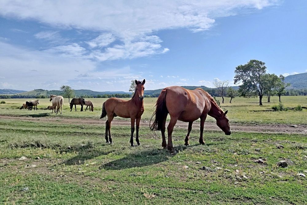 Photograph by Валентина