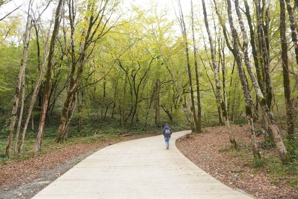 Photograph by Алфия Бугакова