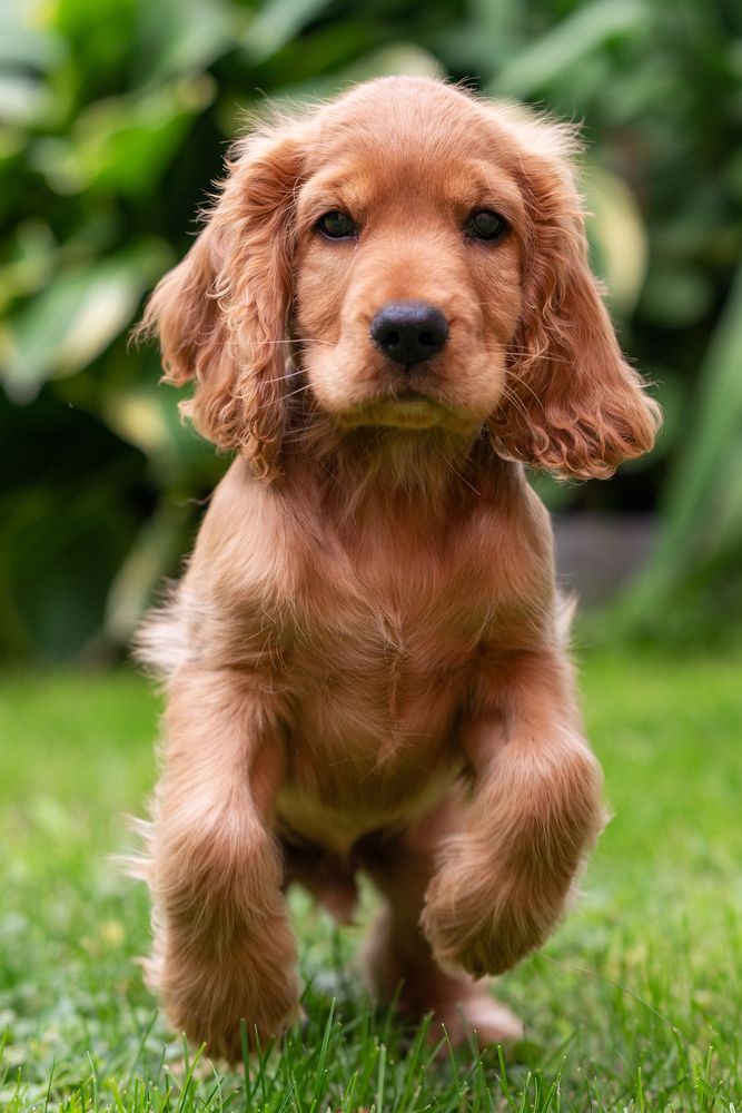 Photograph by Сергей Тихомиров