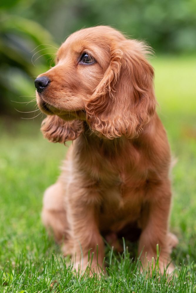 Photograph by Сергей Тихомиров