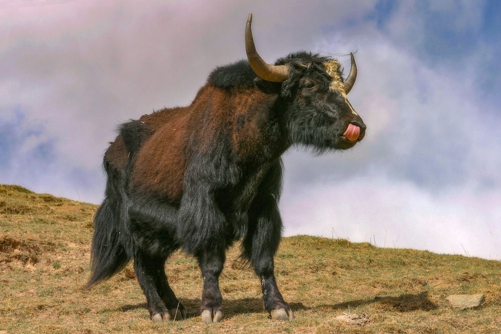 Фотография автора Анатолий Фомин