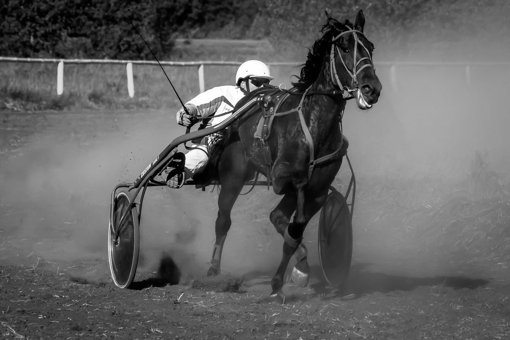 Photograph by Владимир Говоров