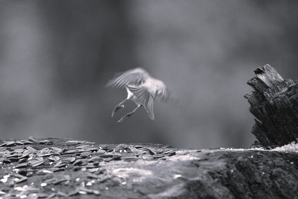 Photograph by Алфия Бугакова