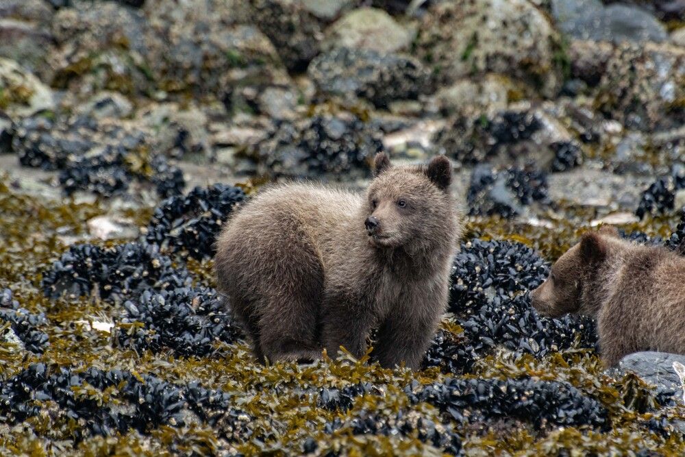 Photograph by Ованес Агарян