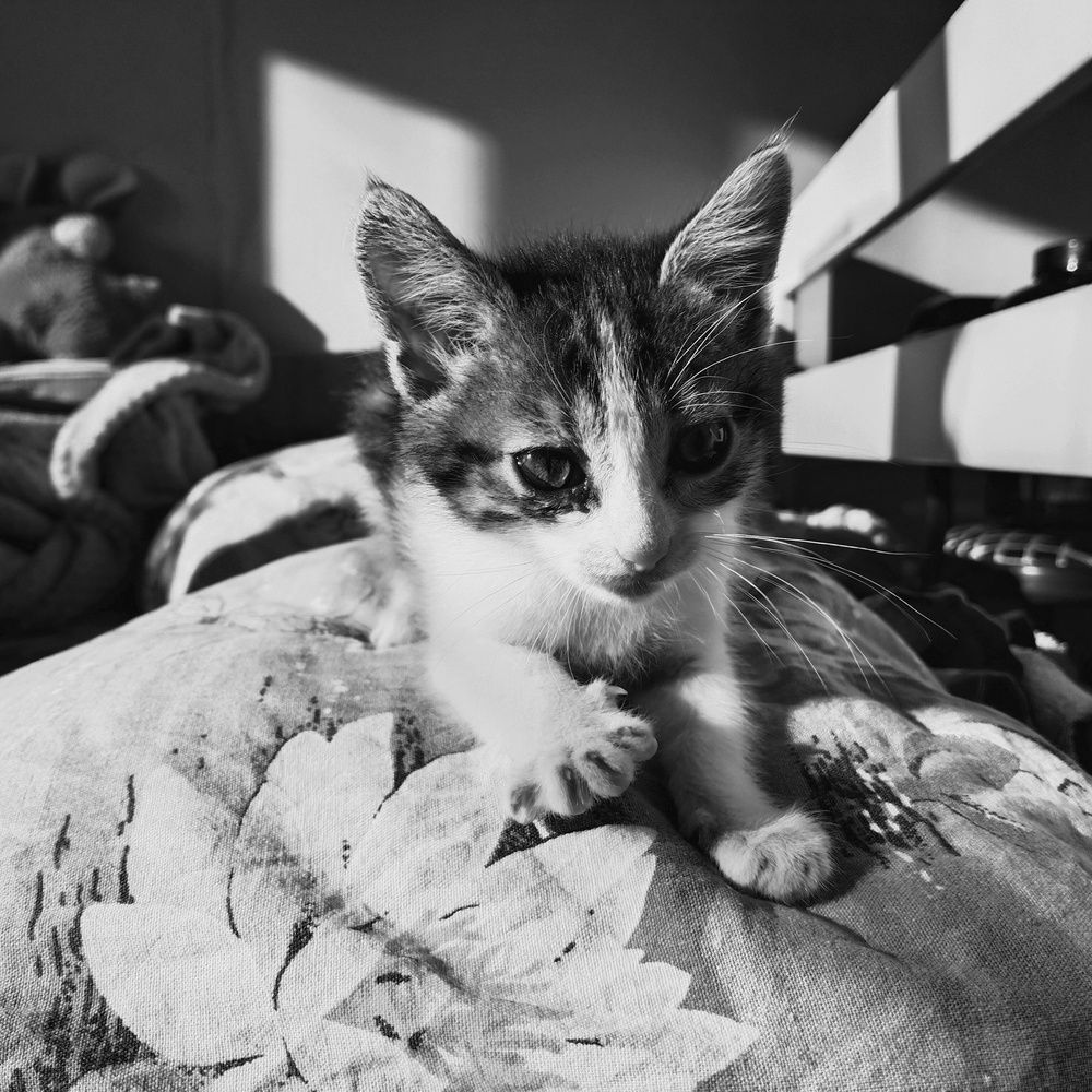 Photograph by Анастасия Юрьева