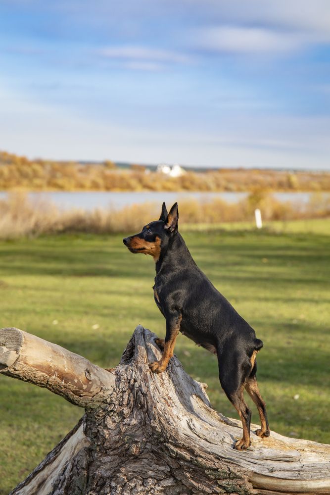 Photograph by Светлана Карнаух