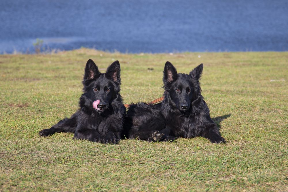 Photograph by Светлана Карнаух