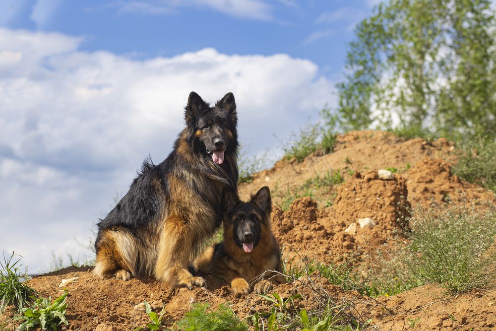 Photograph by Светлана Карнаух