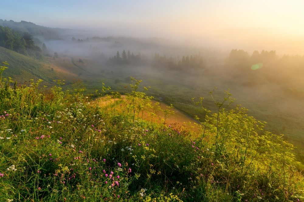 Photograph by Roman Dmitriev