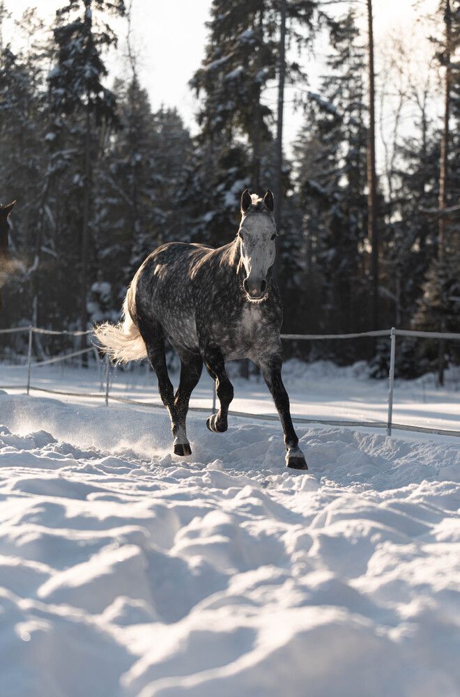 Photograph by Ирина Моисеенко