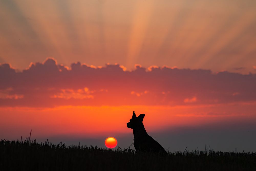 Photograph by Rasita Li