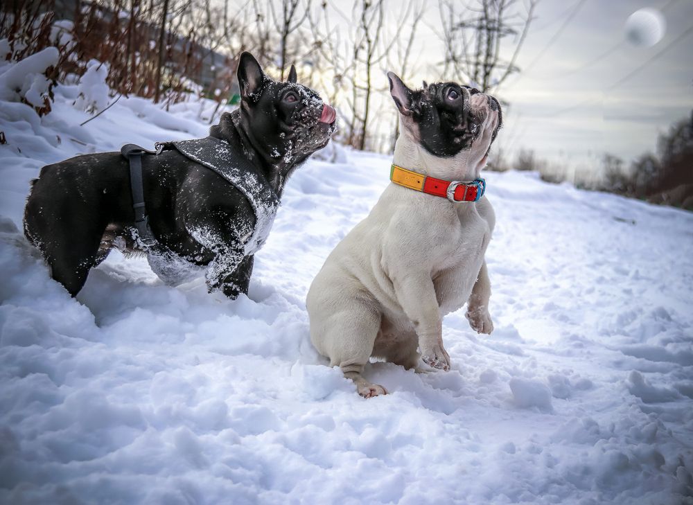 Photograph by Лариса Рулёва