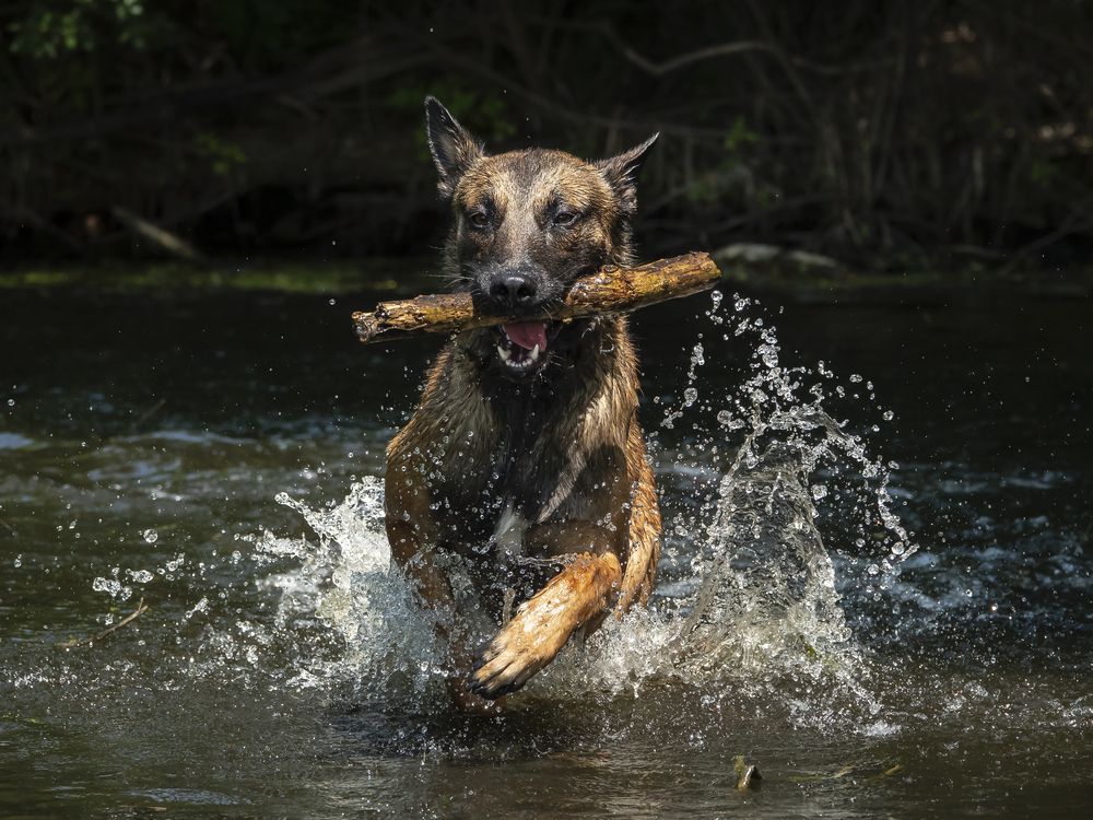 Водная преграда