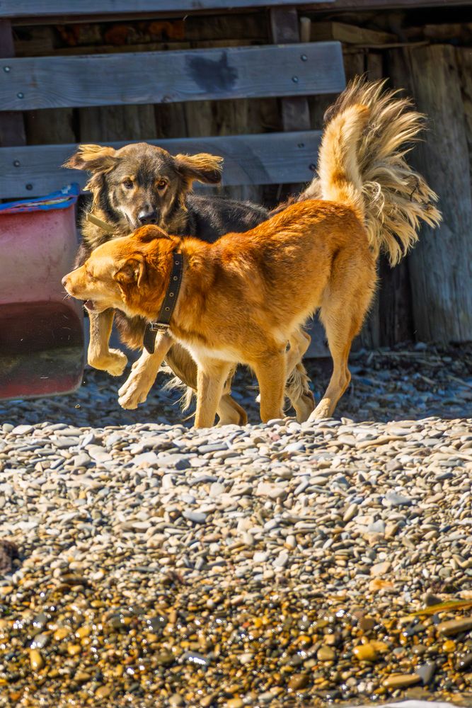 Фотография автора Владимир Хакимов