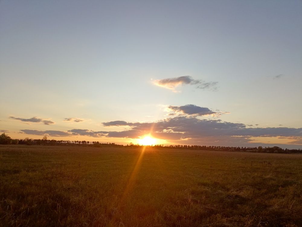 Закат в поле