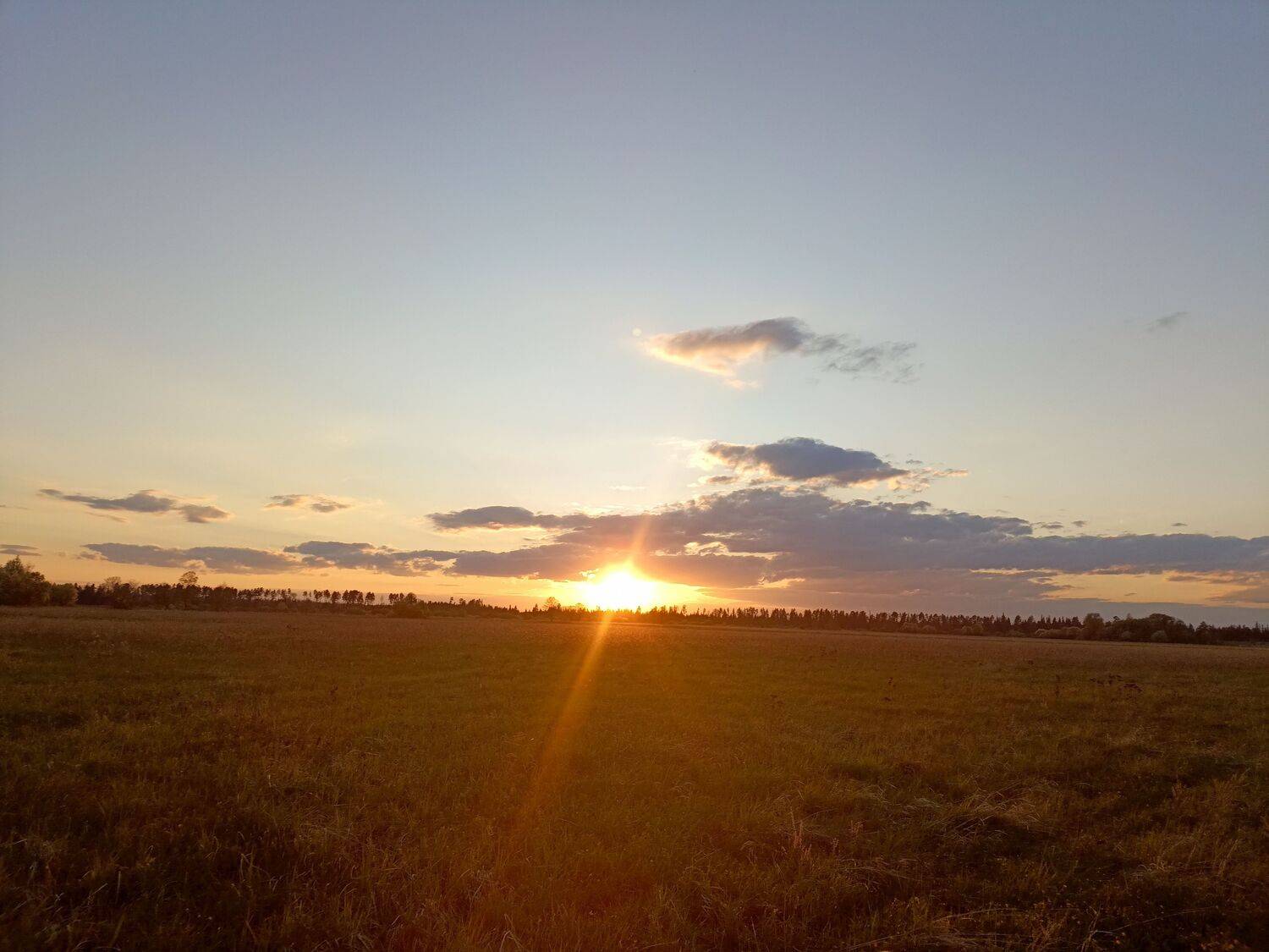 Закат в поле