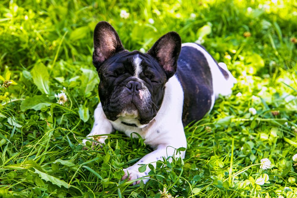 Photograph by Лариса Рулёва