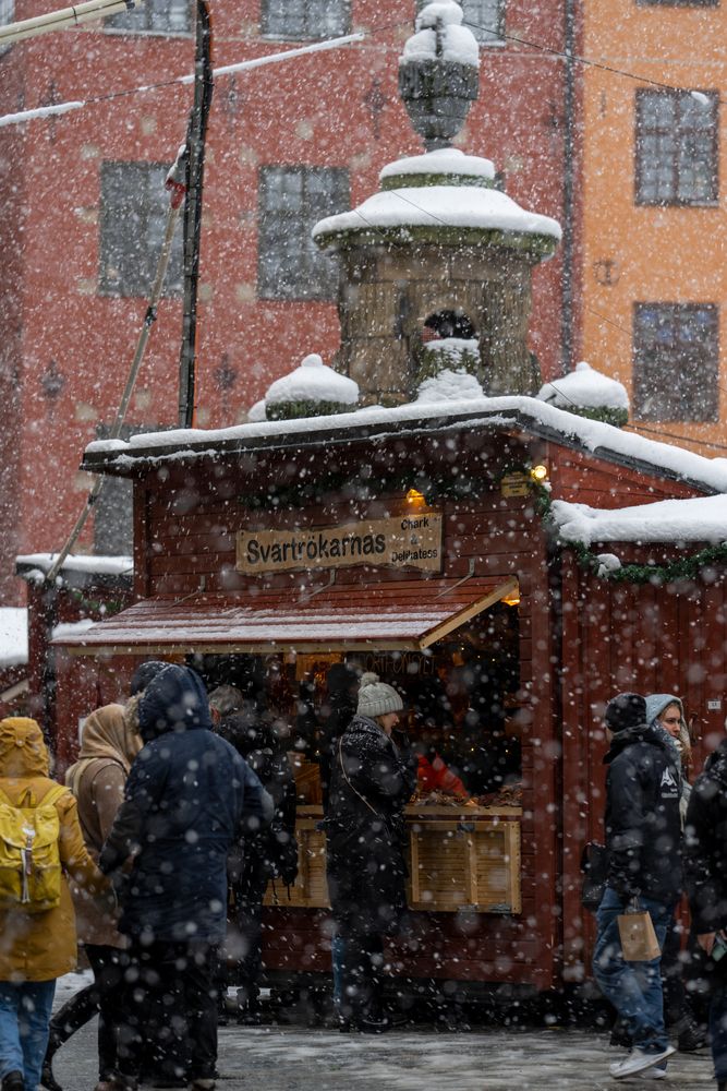 Photograph by Ruslan Badykov